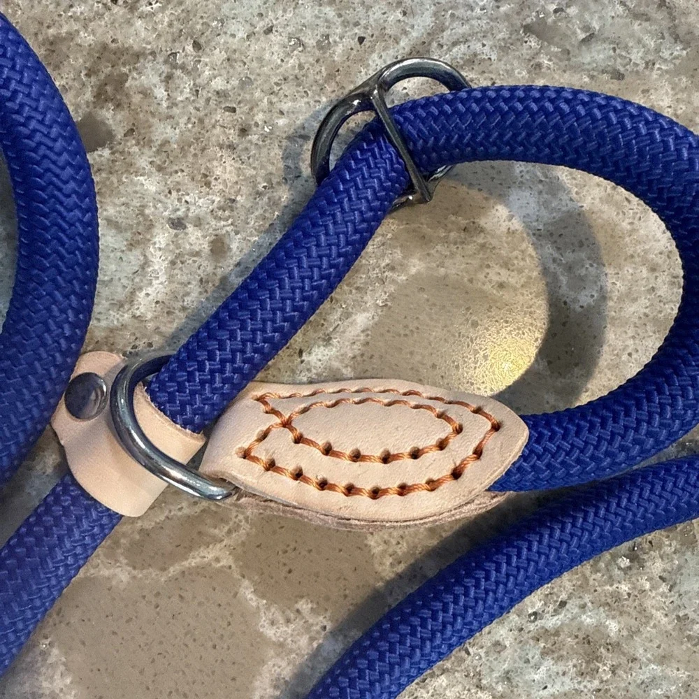 5' Nylon Leather Slip Lead Dog Leash Royal‎ Blue Dog Training Walking Exercise